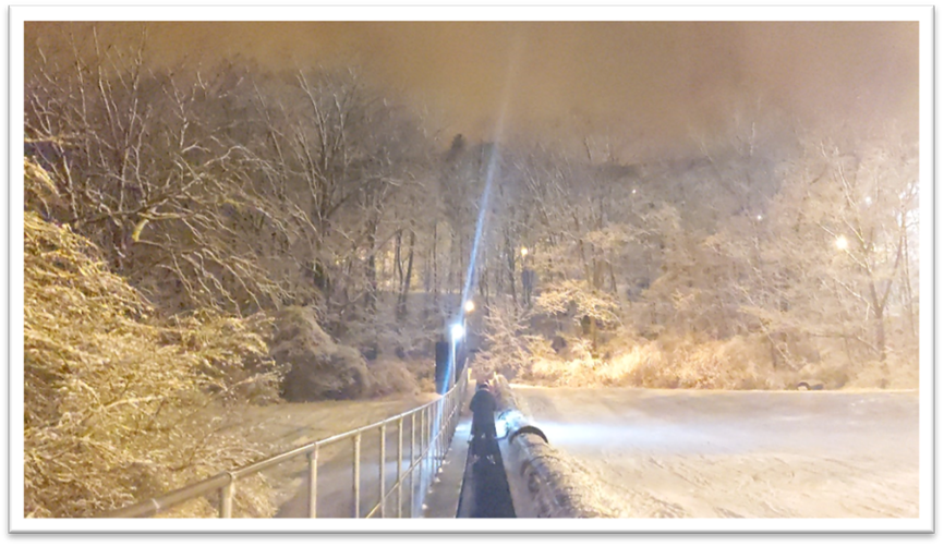 A person standing on a walkway in the snow

AI-generated content may be incorrect.