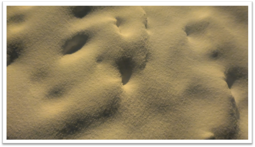 A close-up of a sand dune

AI-generated content may be incorrect.