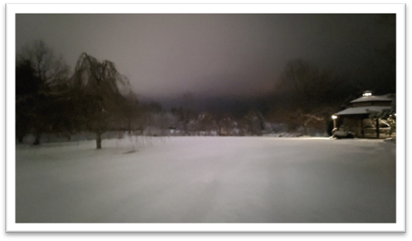 A snowy field with trees in the background

AI-generated content may be incorrect.