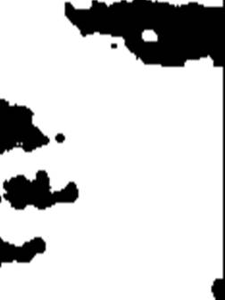 A spider on a carpet

AI-generated content may be incorrect.